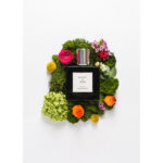 Eight & Bob Champs de Prrovence