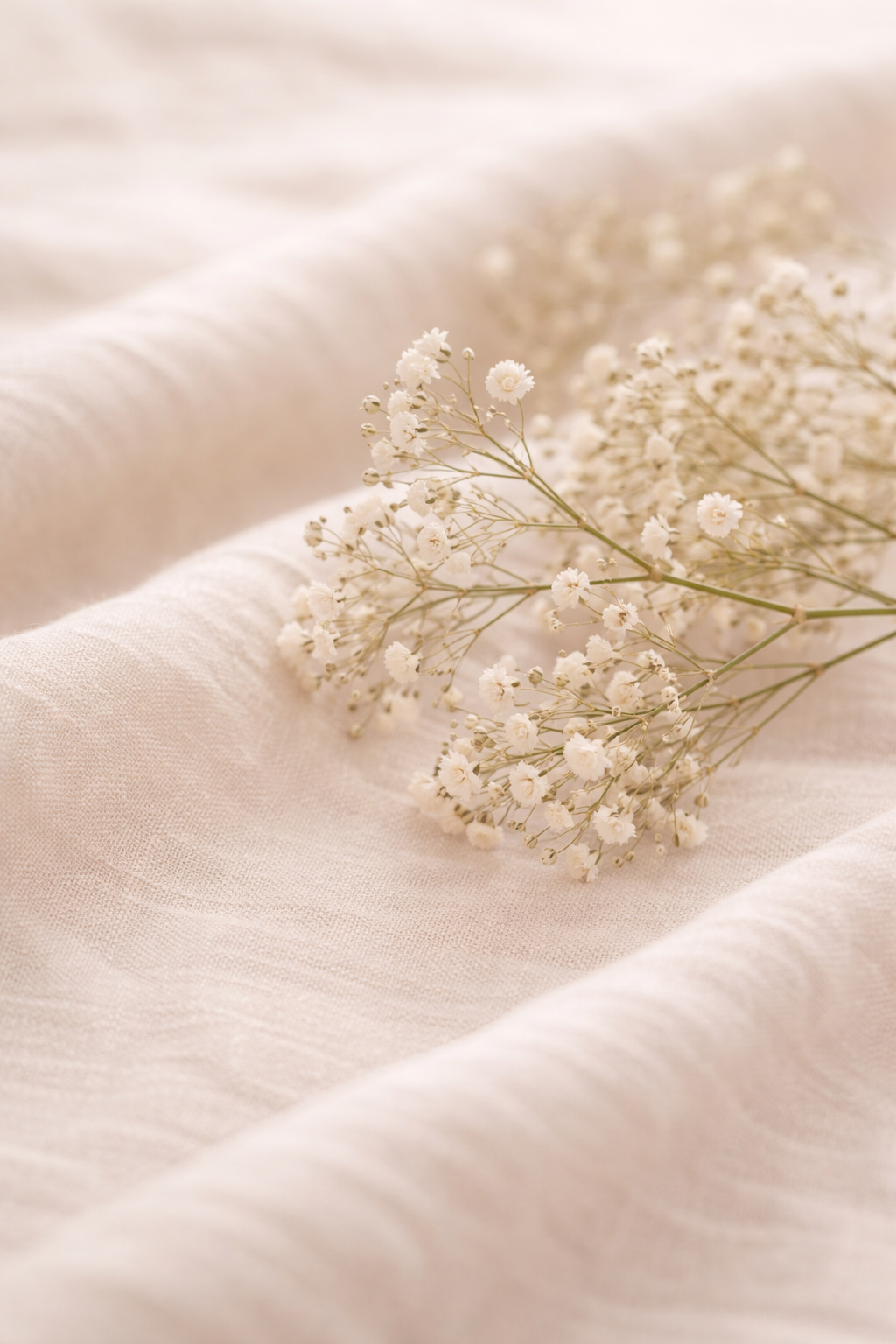 Perfume nicho y atmósfera con paniculata